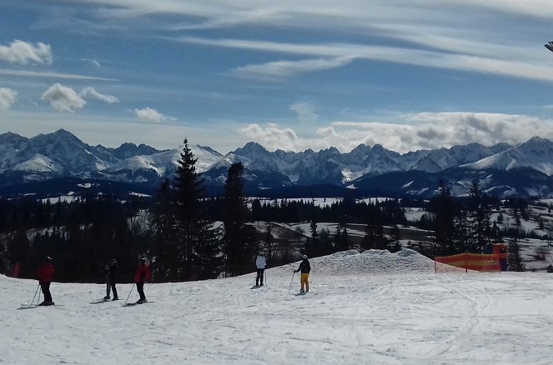 20190308_115122 01.jpg